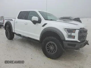 2019 Ford F-150 Raptor with VIN 1FTFW1RG0KFC64432, listed as a Copart auction lot 48307085 with 51,780 mi miles and Salvage Title. Bid and sale history available at carsss.com. Image 4.