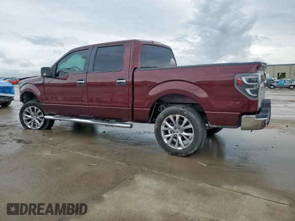 2009 Ford F-150 XL with VIN 1FTRW128X9FA32446, listed as a Copart auction lot 60648505 with 210,587 mi miles and Salvage title. Bid and sale history available at DreamBid. Image 2.
