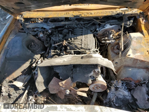 1989 Ford Thunderbird with VIN 1FAPP6048KH140274, listed as a Copart auction lot 41579825 with Not Provided miles and Non Repairable. Bid and sale history available at DreamBid. Image 11.