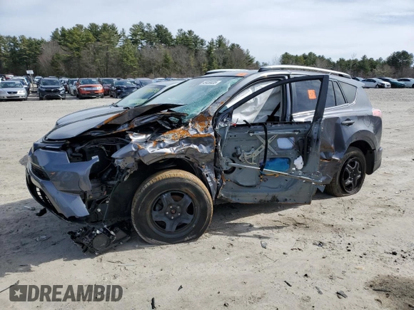 2017 Toyota RAV4 LE with VIN JTMBFREV9HJ141865, listed as a Copart auction lot 49459035 with 0 mi miles and Salvage Title. Bid and sale history available at carsss.com. Image 1.
