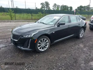 2023 Cadillac CT5 Premium Luxury with VIN 1G6DS5RK9P0110250, listed as a IAAI auction lot 42543032 with 12,305 mi miles and . Bid and sale history available at DreamBid. Image 2.
