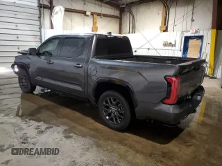 2022 Toyota Tundra Platinum with VIN 5TFNA5DB0NX019500, listed as a Copart auction lot 78663374 with 26,405 mi miles and Salvage title. Bid and sale history available at DreamBid. Image 2.