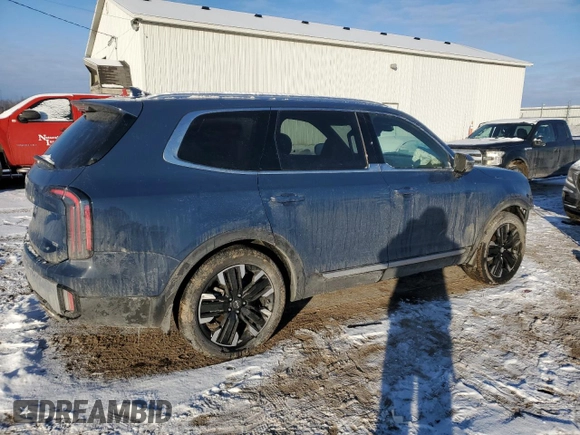 2024 Kia Telluride SX Prestige with VIN 5XYP5DGC6RG483038, listed as a Copart auction lot 87688885 with 16,260 mi miles and Salvage title. Bid and sale history available at DreamBid. Image 3.