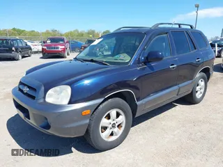 2005 Hyundai Santa Fe GLS with VIN KM8SC73E95U956010, listed as a IAAI auction lot 42134272 with 190,895 mi miles. Bid and sale history available at carsss.com. Image 2.