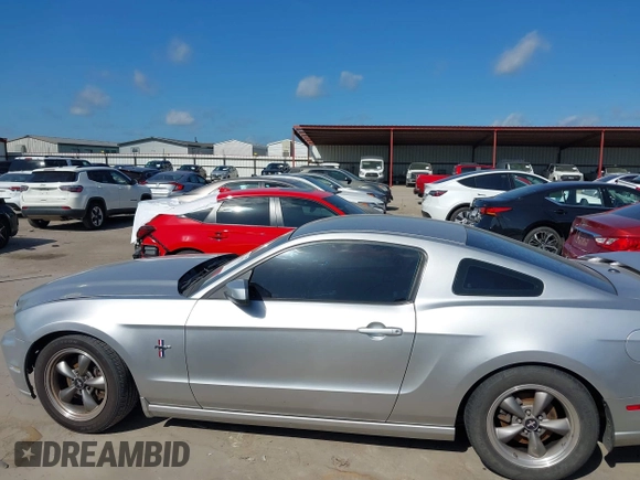 2013 Ford Mustang V6 with VIN 1ZVBP8AM1D5278884, listed as a IAAI auction lot 42507720 with 123,854 mi miles and . Bid and sale history available at DreamBid. Image 14.