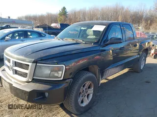2011 Ram Dakota Bighorn/Lonestar with VIN 1D7RW3GK1BS636518, listed as a IAAI auction lot 41346644 with 155,125 mi miles. Bid and sale history available at carsss.com. Image 2.