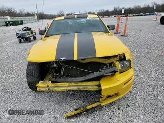 2006 Ford Mustang GT Deluxe with VIN 1ZVHT82H765172787, listed as a Copart auction lot 52539725 with 161,409 mi miles and Salvage Title. Bid and sale history available at carsss.com. Image 10.