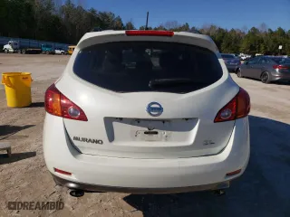 2010 Nissan Murano S with VIN JN8AZ1MU3AW013230, listed as a Copart auction lot 46337655 with 124,269 mi miles and Salvage Title. Bid and sale history available at carsss.com. Image 6.