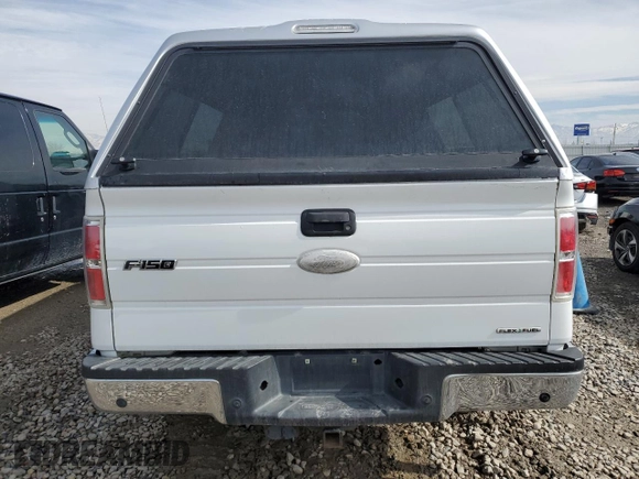 2011 Ford F-150 XL with VIN 1FTFX1EF9BFB86162, listed as a Copart auction lot 46303825 with Not Provided miles and Salvage Title. Bid and sale history available at carsss.com. Image 6.