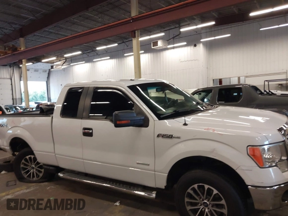 2012 Ford F-150 XL with VIN 1FTFX1ET5CFC10058, listed as a IAAI auction lot 40381269 with 262,296 mi miles. Bid and sale history available at carsss.com. Image 13.