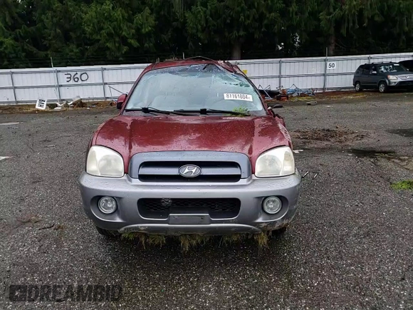 2005 Hyundai Santa Fe GLS with VIN KM8SC73D55U876565, listed as a Copart auction lot 81161004 with 204,205 mi miles and Salvage title. Bid and sale history available at DreamBid. Image 11.