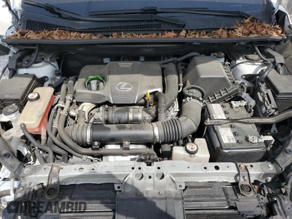 2019 Lexus NX 300 with VIN JTJBARBZ2K2179846, listed as a Copart auction lot 58236005 with 76,809 mi miles and Salvage title. Bid and sale history available at DreamBid. Image 12.