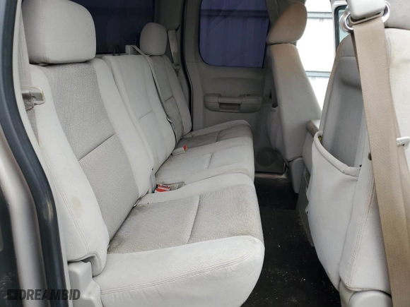 2009 Chevrolet Silverado 1500 LT with VIN 2GCEK29CX91120933, listed as a Copart auction lot 78960964 with 124,196 mi miles and Salvage Title. Bid and sale history available at carsss.com. Image 10.