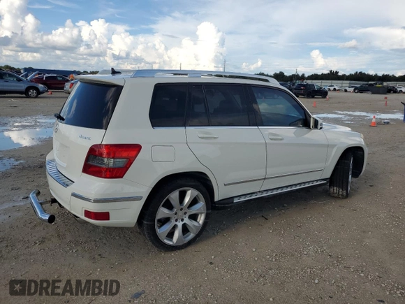 2010 Mercedes-Benz GLK 350 with VIN WDCGG8HBXAF256959, listed as a Copart auction lot 73790734 with 13,072 mi miles and Salvage Title. Bid and sale history available at DreamBid. Image 3.
