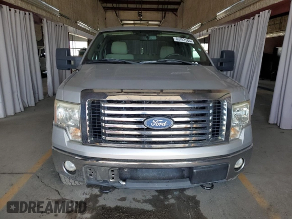 2010 Ford F-150 XL with VIN 1FTFW1EV3AFB69270, listed as a Copart auction lot 66163565 with 176,569 mi miles and Clean title. Bid and sale history available at DreamBid. Image 5.