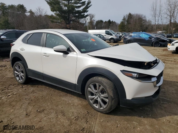2021 Mazda CX-30 Select with VIN 3MVDMBBL2MM257378, listed as a Copart auction lot 48243745 with 22,064 mi miles and Non Repairable. Bid and sale history available at carsss.com. Image 4.