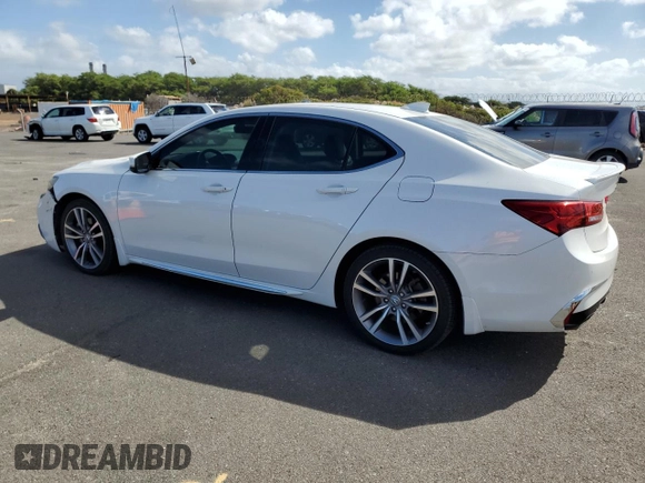 2019 Acura TLX Advance with VIN 19UUB2F80KA009509, listed as a Copart auction lot 48239715 with 44,567 mi miles and Salvage title. Bid and sale history available at DreamBid. Image 2.