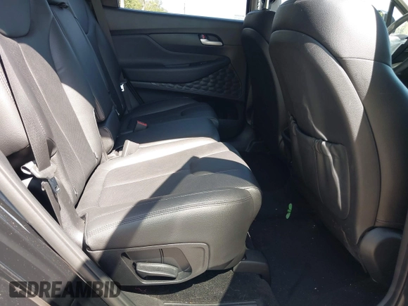 2019 Hyundai Santa Fe SE with VIN 5NMS23AD4KH088902, listed as a IAAI auction lot 42044465 with 34,302 mi miles and . Bid and sale history available at DreamBid. Image 8.