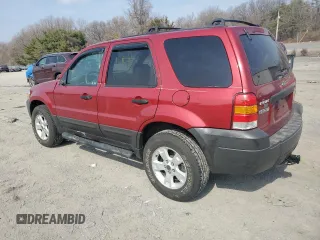2006 Ford Escape XLT with VIN 1FMYU93136KA37150, listed as a Copart auction lot 49206455 with 48,387 mi miles and Salvage Title. Bid and sale history available at carsss.com. Image 2.