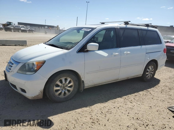 2009 Honda Odyssey EX-L with VIN 5FNRL38679B504312, listed as a Copart auction lot 53878465 with 239,462 mi miles and Salvage Title. Bid and sale history available at carsss.com. Image 1.