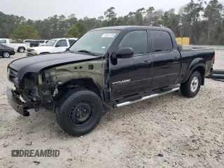 2004 Toyota Tundra Ltd with VIN 5TBET38134S438163, listed as a Copart auction lot 44541705 with 252,237 mi miles and Salvage Title. Bid and sale history available at carsss.com. Image 1.