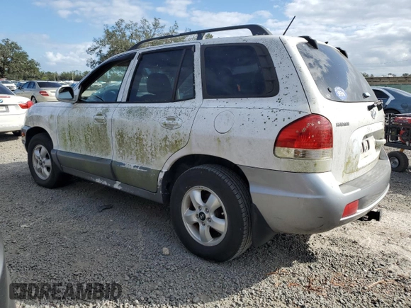2005 Hyundai Santa Fe GLS with VIN KM8SC13D95U868823, listed as a Copart auction lot 80675094 with 0 mi miles and Salvage Title. Bid and sale history available at carsss.com. Image 2.