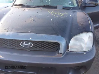 2004 Hyundai Santa Fe GLS with VIN KM8SC73E04U611897, listed as a IAAI auction lot 41648490 with Not provided miles and . Bid and sale history available at DreamBid. Image 10.