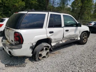 2006 Chevrolet TrailBlazer LS with VIN 1GNDT13S362357608, listed as a Copart auction lot 68828434 with 173,608 mi miles and Salvage Title. Bid and sale history available at DreamBid. Image 3.