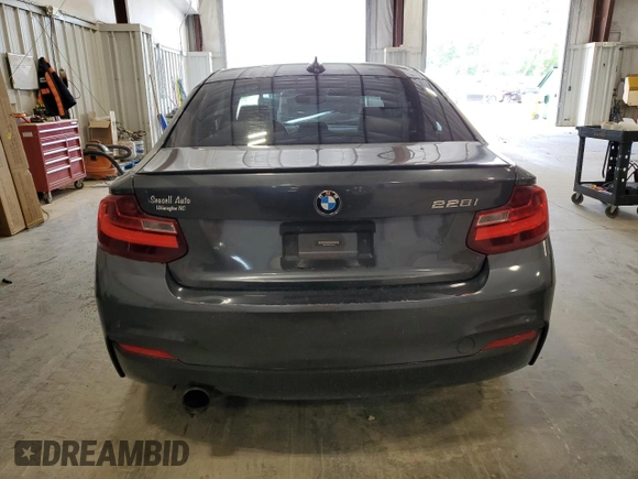 2015 BMW 2 Series 228i with VIN WBA1F5C59FV343633, listed as a Copart auction lot 60329925 with 123,644 mi miles and Non repairable. Bid and sale history available at DreamBid. Image 6.