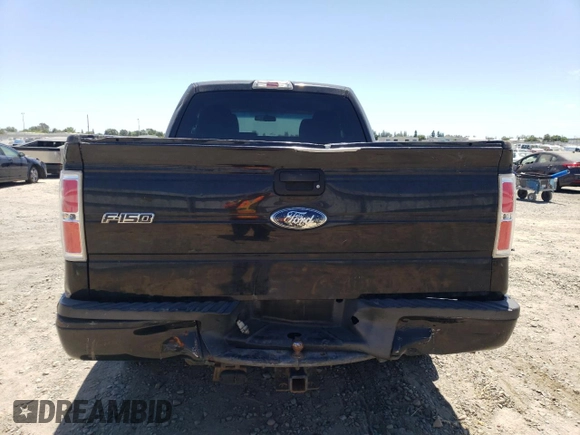 2010 Ford F-150 XL with VIN 1FTEX1CW5AKE07504, listed as a Copart auction lot 61187575 with 176,296 mi miles and Salvage title. Bid and sale history available at DreamBid. Image 6.