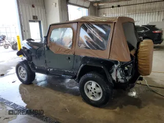 1995 Jeep Wrangler with VIN 1J4FY29S3SP232227, listed as a Copart auction lot 78394314 with 142,117 mi miles and Salvage Title. Bid and sale history available at carsss.com. Image 2.