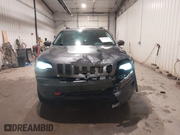 2019 Jeep Cherokee Trailhawk Elite with VIN 1C4PJMBX8KD298807, listed as a IAAI auction lot 41107062 with 79,685 mi miles. Bid and sale history available at carsss.com. Image 12.