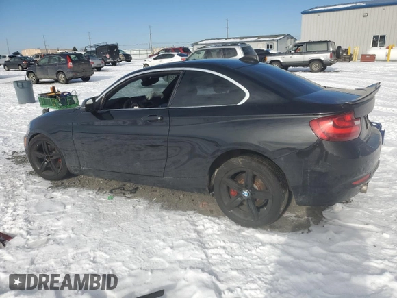 2017 BMW 2 Series 230i with VIN WBA2F9C39HV664732, listed as a Copart auction lot 44585015 with 88,917 mi miles and Salvage title. Bid and sale history available at DreamBid. Image 2.