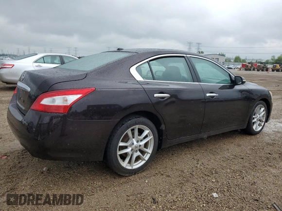 2010 Nissan Maxima SV with VIN 1N4AA5AP6AC805386, listed as a Copart auction lot 58983035 with 210,062 mi miles and Salvage title. Bid and sale history available at DreamBid. Image 3.