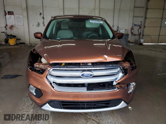 2017 Ford Escape SE with VIN 1FMCU0GD7HUE53039, listed as a Copart auction lot 51157025 with 89,216 mi miles and Salvage Title. Bid and sale history available at DreamBid. Image 5.