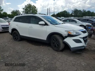 2012 Mazda CX-9 Touring with VIN JM3TB3CV2C0338611, listed as a Copart auction lot 61193625 with 115,817 mi miles and Salvage title. Bid and sale history available at DreamBid. Image 4.