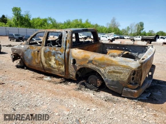 2010 Dodge 1500 Sport with VIN 1D7RV1CT3AS123890, listed as a Copart auction lot 50738225 with Not Provided miles and Non Repairable. Bid and sale history available at carsss.com. Image 2.