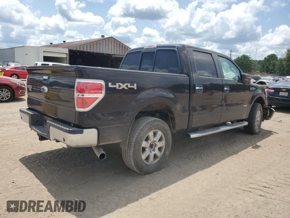 2013 Ford F-150 XL with VIN 1FTFW1ET6DKG18953, listed as a Copart auction lot 59873935 with Not provided miles and Salvage title. Bid and sale history available at DreamBid. Image 3.