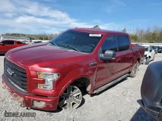 2016 Ford F-150 XLT with VIN 1FTEW1EF8GFB94842, listed as a Copart auction lot 49693255 with 105,289 mi miles and Salvage Title. Bid and sale history available at carsss.com. Image 1.