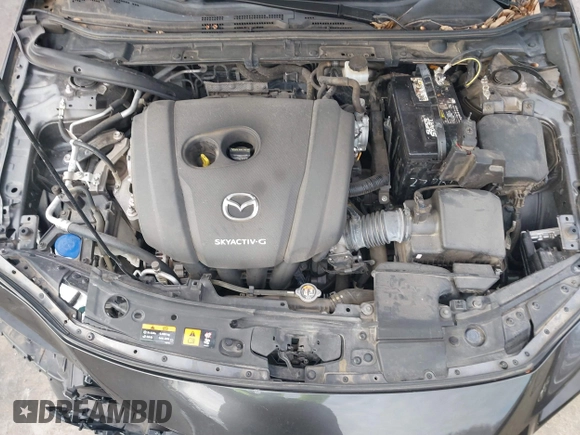 2019 Mazda 3 with VIN JM1BPAJMXK1121384, listed as a IAAI auction lot 41365150 with 38,899 mi miles and . Bid and sale history available at DreamBid. Image 10.
