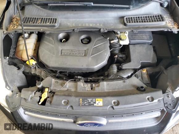 2013 Ford Escape SE with VIN 1FMCU0G98DUD08873, listed as a Copart auction lot 56416035 with 143,937 mi miles and Salvage title. Bid and sale history available at DreamBid. Image 12.