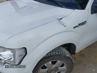 2009 Ford F-150 STX with VIN 1FTRX12819FA82911, listed as a IAAI auction lot 42424005 with 251,720 mi miles and . Bid and sale history available at DreamBid. Image 12.