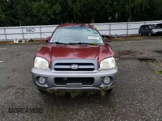 2005 Hyundai Santa Fe GLS with VIN KM8SC73D55U876565, listed as a Copart auction lot 81161004 with 204,205 mi miles and Salvage title. Bid and sale history available at DreamBid. Image 11.