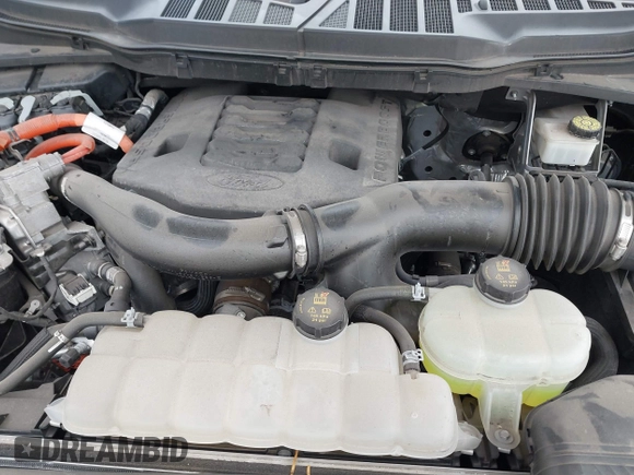 2021 Ford F-150 XL with VIN 1FTFW1CD7MFB12858, listed as a IAAI auction lot 41603603 with 42,225 mi miles and . Bid and sale history available at DreamBid. Image 10.