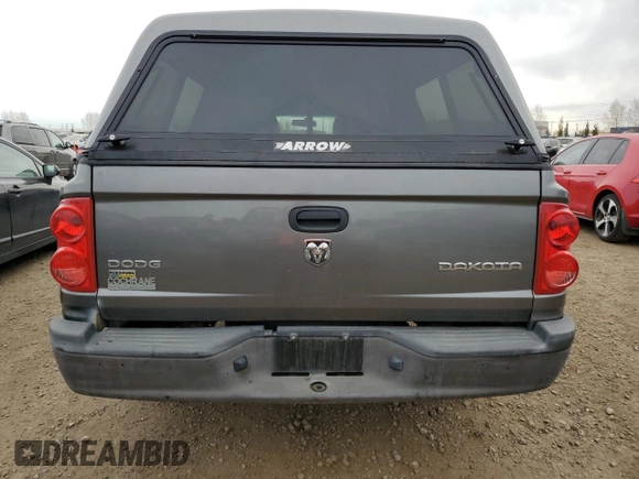 2010 Dodge Dakota SXT with VIN 1D7CW3GP3AS161843, listed as a Copart auction lot 76721334 with 308,931 mi miles and Clean Title. Bid and sale history available at DreamBid. Image 6.