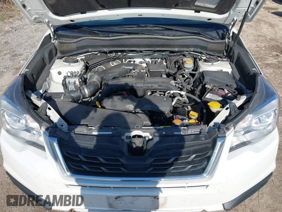2017 Subaru Forester with VIN JF2SJABC2HH406735, listed as a IAAI auction lot 41869995 with 141,456 mi miles and . Bid and sale history available at DreamBid. Image 10.