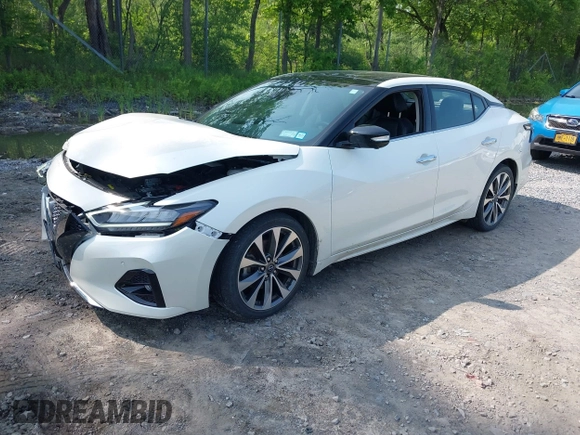 2023 Nissan Maxima Platinum with VIN 1N4AA6FV5PC505862, listed as a IAAI auction lot 42418625 with 10,485 mi miles and . Bid and sale history available at DreamBid. Image 2.