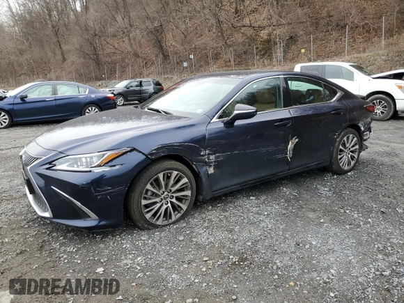 2021 Lexus ES 250 with VIN 58AD11D14MU003669, listed as a Copart auction lot 50762165 with 25,117 mi miles and Salvage title. Bid and sale history available at DreamBid. Image 1.