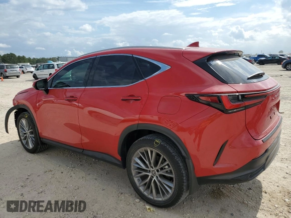 2023 Lexus NX with VIN 2T2HGCEZ6PC029652, listed as a Copart auction lot 75674103 with 6,331 mi miles. Bid and sale history available at carsss.com. Image 2.