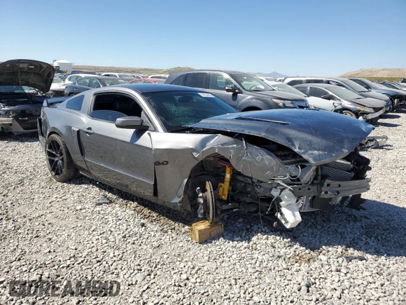 2013 Ford Mustang GT with VIN 1ZVBP8CF3D5246615, listed as a Copart auction lot 53124855 with Not provided miles and Salvage title. Bid and sale history available at DreamBid. Image 4.
